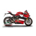 Carbonvani - Ducati Panigale V4 / S / Speciale "ARUBA Ver 4" Design Carbon Fiber Full Fairing Kit - ROAD VERSION (8 pieces)